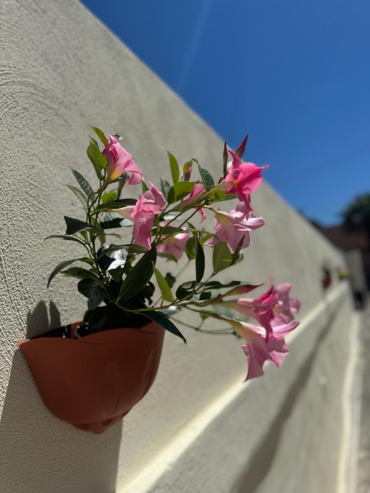 Solemar Villa Bari Esterno foto